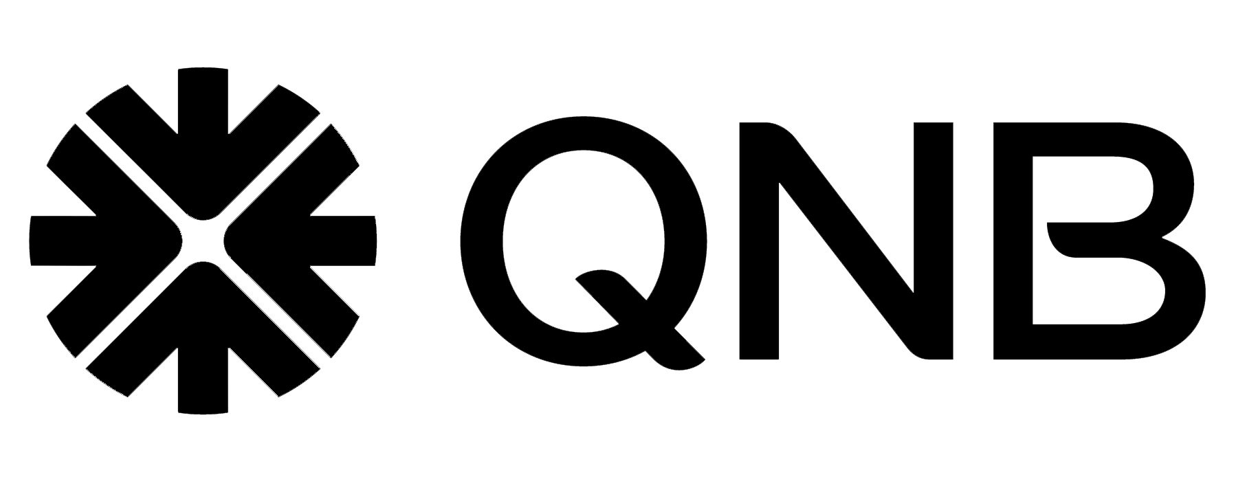 QNB Working Logo copie